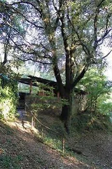 Mas Patxet Santa Pau
